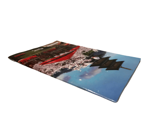 Dead Or Alive 4 (XBox 360) *COMPLETE* - Image 8