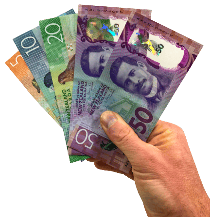 IMG_2482-removebg-preview