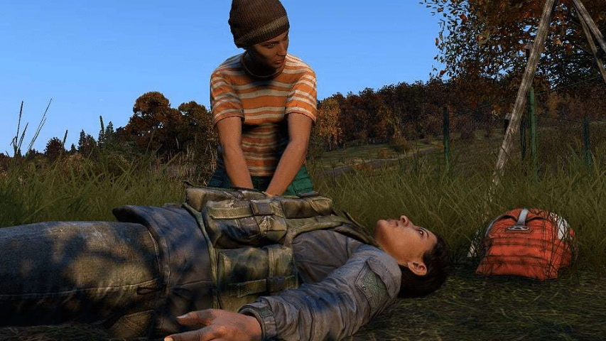 DayZ (PS4) *MINT COMPLETE* - Image 7