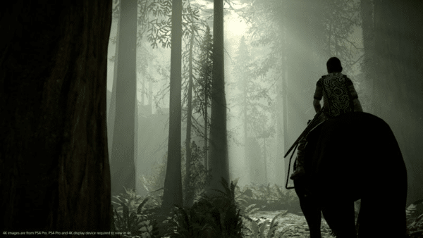 Shadow of the Colossus (PS4) *MINT COMPLETE* - Image 4