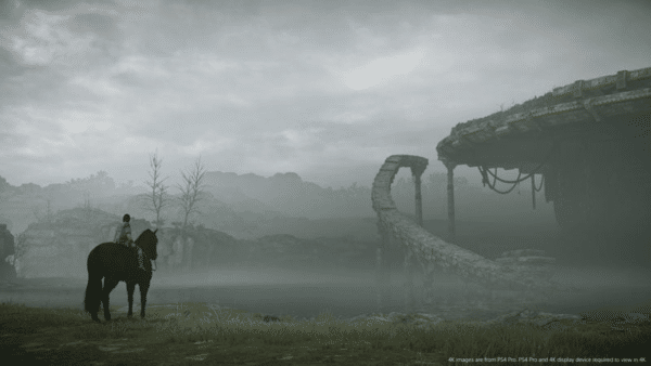 Shadow of the Colossus (PS4) *MINT COMPLETE* - Image 10