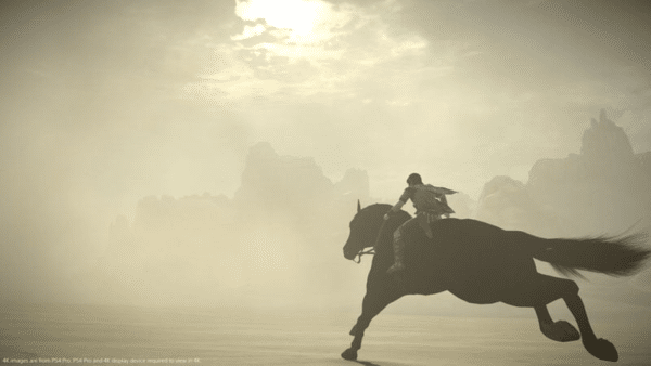 Shadow of the Colossus (PS4) *MINT COMPLETE* - Image 8