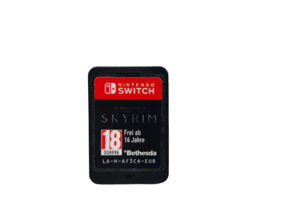 The Elder Scrolls V: Skyrim (Nintendo Switch) - Image 2