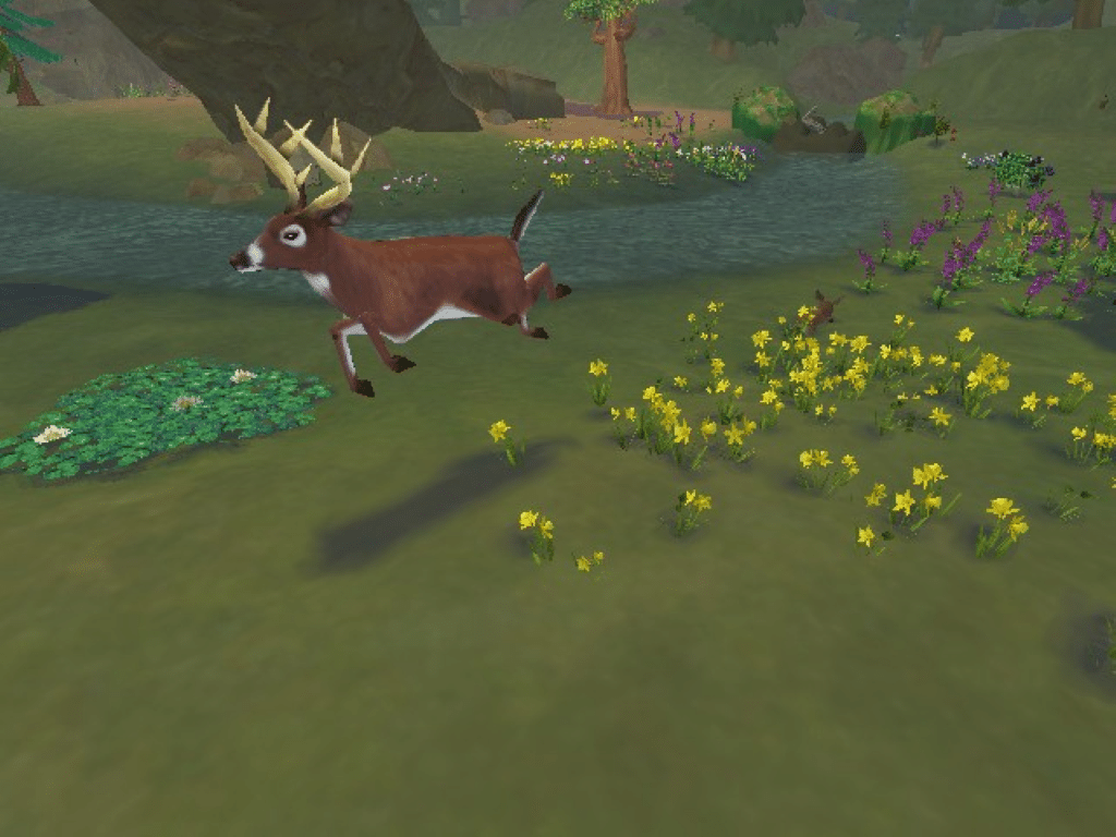 SIM ANIMALS (SimAnimals) Wii - Image 5