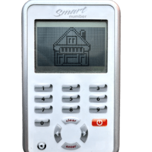 LCD SMART BRAIN Electronic Game