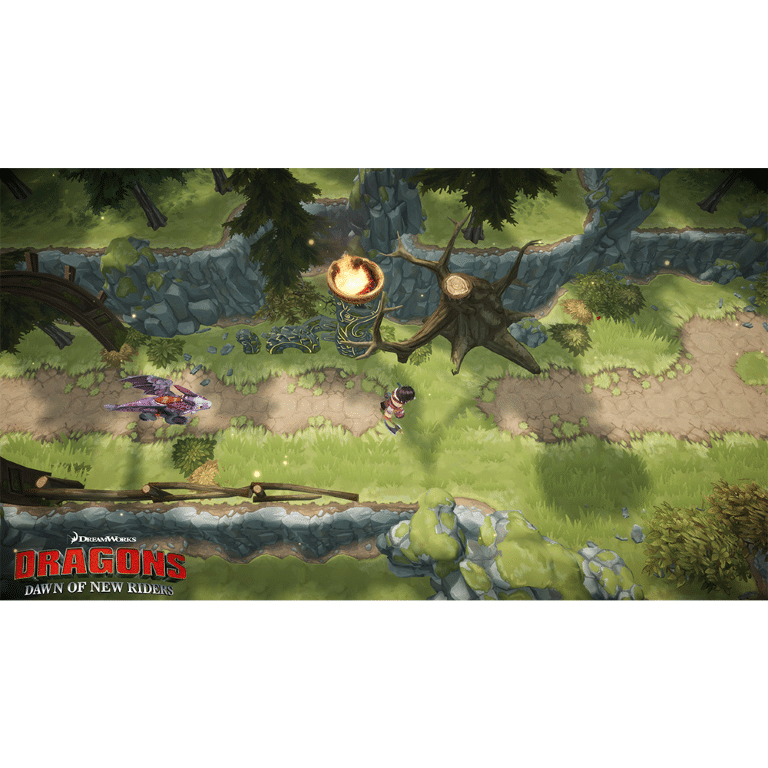 HOW TO TRAIN YOUR DRAGON: Dragons Dawn of New Riders (PS4) - Image 6