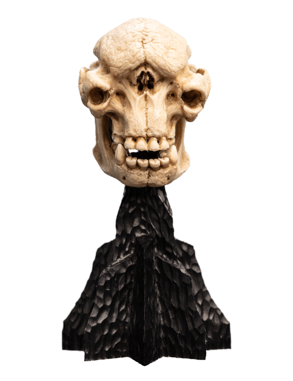 Weta LOTR Statue: Skull of A Cave Troll - Image 7