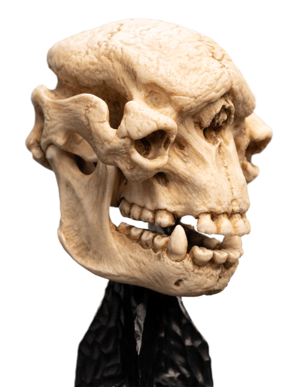 Weta LOTR Statue: Skull of A Cave Troll - Image 5