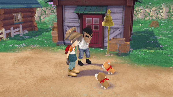 Story of Seasons: A Wonderful Life (PS5) *NEW* - Image 3