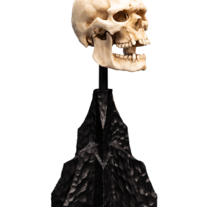 WETA Lord of the Rings: SKULL OF A MORDOR ORC