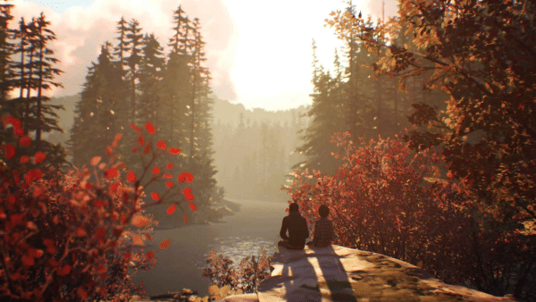 LIFE IS STRANGE 2 (PS4 - RARE) - Image 7
