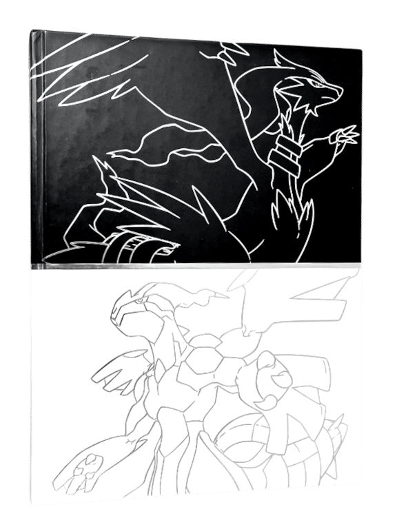 Pokemon Black Version + White Official Game Guide (Collector's Hardcover)