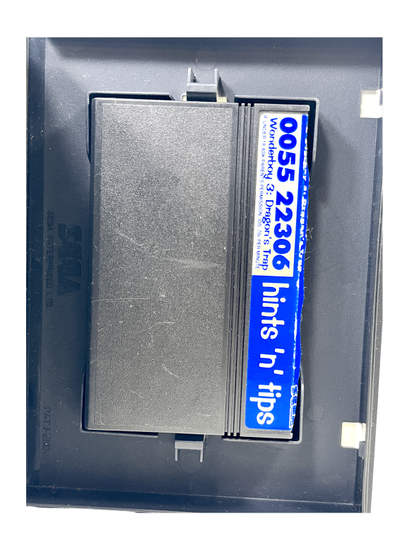 WONDER BOY III The Dragon's Trap (Sega Master System) - Image 3