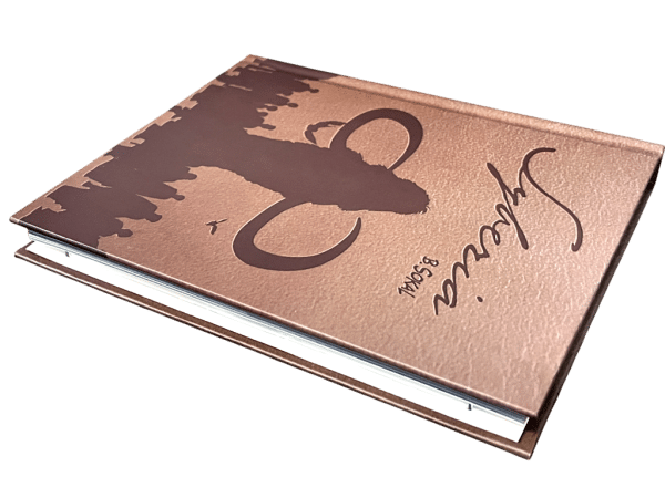 Syberia: The World Before 20 YEAR EDITION (PS5)