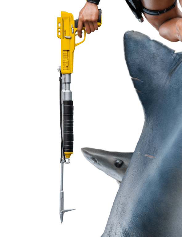 Tomb Raider Lara Croft Quest for Avalon 1:4 Scale Statue (Weta) ENORMOUS - Image 13