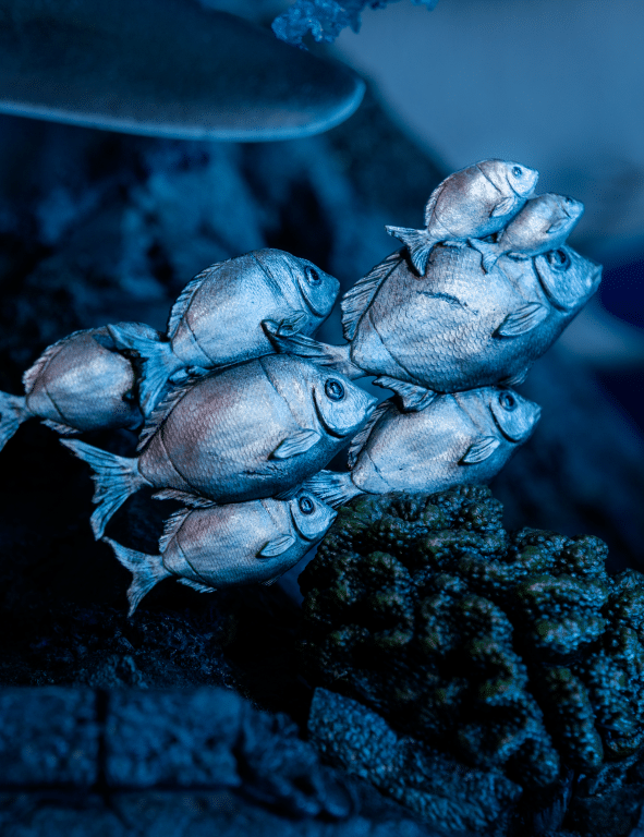 Tomb Raider Lara Croft Quest for Avalon 1:4 Scale Statue (Weta) ENORMOUS - Image 19