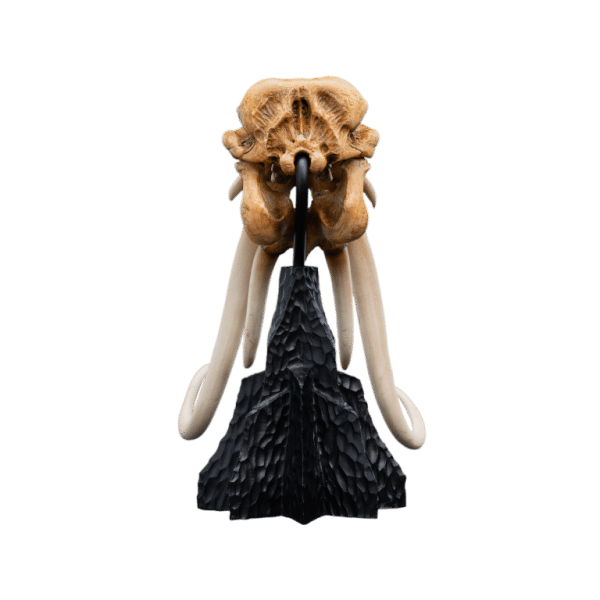 WETA LOTR Skull of a Mumak - Image 5