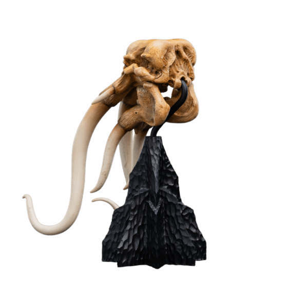 WETA LOTR Skull of a Mumak - Image 6