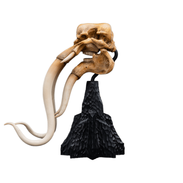 WETA LOTR Skull of a Mumak - Image 7