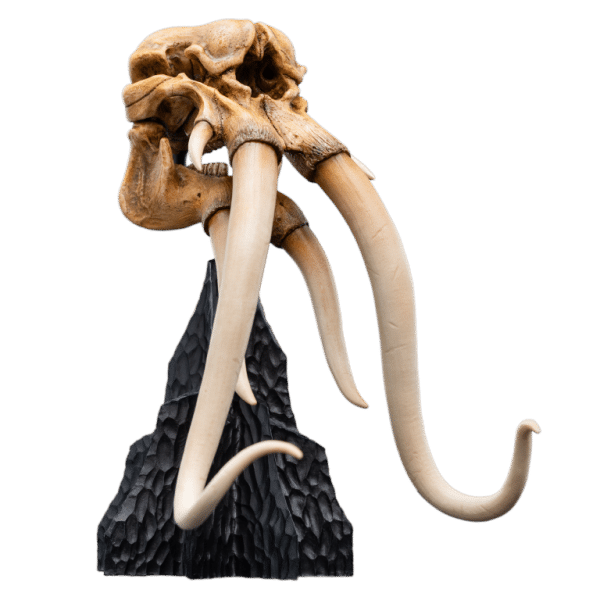 WETA LOTR Skull of a Mumak - Image 10