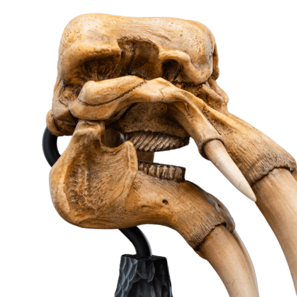 WETA LOTR Skull of a Mumak - Image 11
