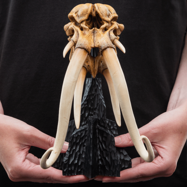 WETA LOTR Skull of a Mumak - Image 12