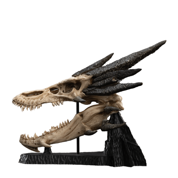 WETA LOTR Skull of Smaug - Image 9