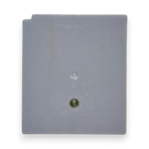 Pokemon Silver Version (Game Boy Color)