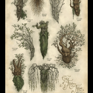 WETA - Art Print - Ent's of Fangorn Forest