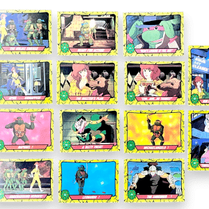Teenage Mutant Ninja Turtles 1989 Topps Card Collection (Mixed Lot)