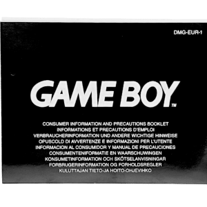 Genuine Nintendo Game Boy Booklet