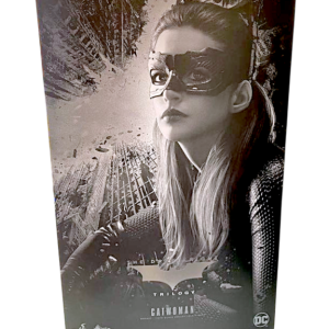 Catwoman (The Dark Knight Rises) 1/6 (Hot Toys)