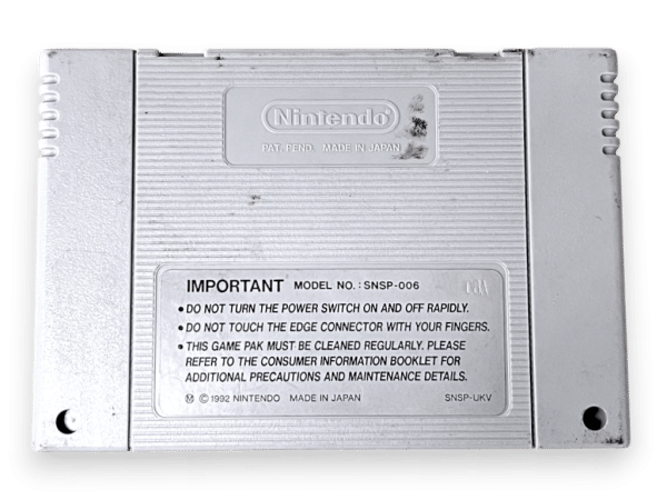 Donkey Kong Country 2: Diddy's Kong Quest (SNES) - Image 2