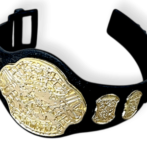 WWE Toy Championship Belt