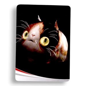 Illustrated Cat Collectible Art Card (ROTTK: Overlord)